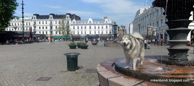 Gustav Adolf Torget fountains (1) Gustav Adolf Torget fountains (1)