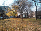 2011-11-17_13-11-40_498.jpg