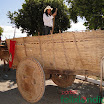 DesfiledeCarrosdeBois2011-037.jpg