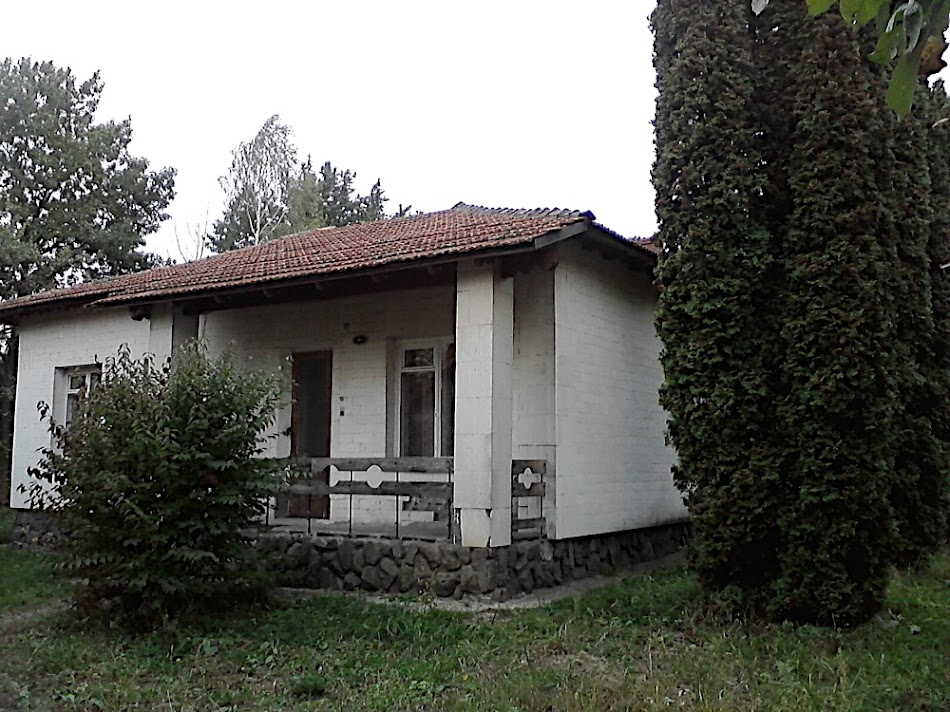P091010_16.44.jpg