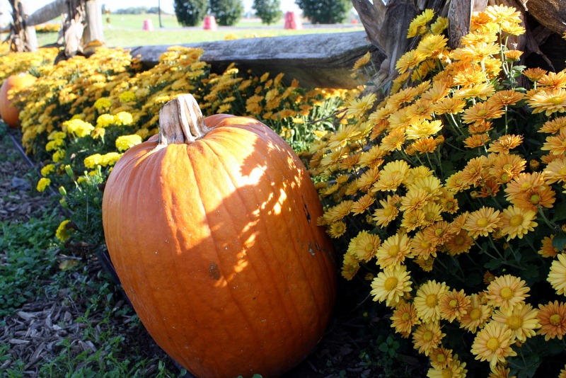 [Virginia%2520Trip-%2520October%25202011%2520100-1%255B5%255D.jpg]