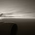 R0028394.JPG