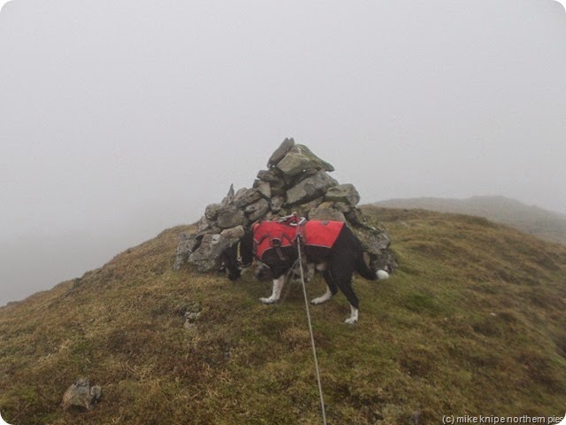 mount ida summit cairn and dog mount ida summit cairn and dog