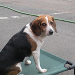 DSCN3456.jpg