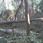 2012-08-06 17.56.00.jpg