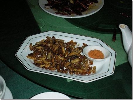 [larvas%2520de%2520abelhas%255B4%255D.jpg]