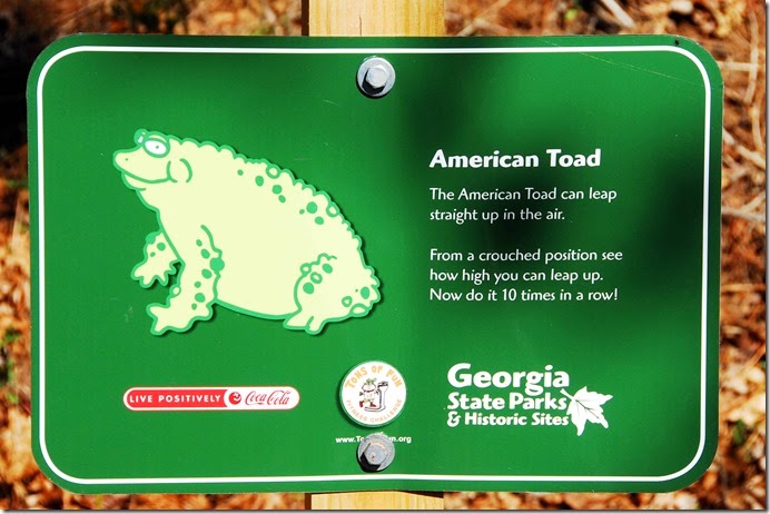 Toad Sign