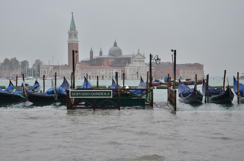 DSC_2344.jpg DSC 2344