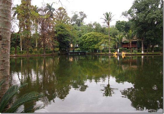 P1063661