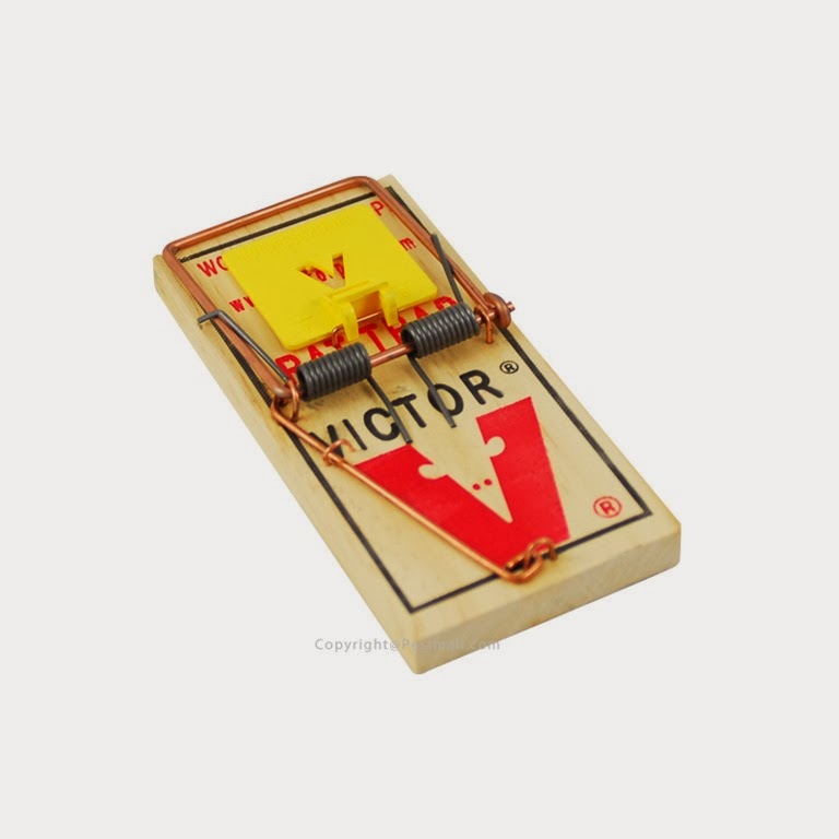 [382_556_victor-holdfast-mouse-trap-m325-12traps-victor-mouse-trap%255B6%255D.jpg]