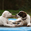 DSC00022.JPG