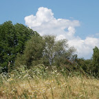 DSC_1584.JPG