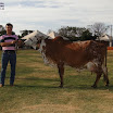 superleite2011_dia1607_38.JPG