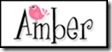 amber reading list