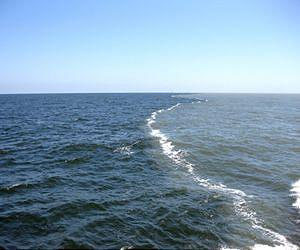 Algae-rich water from the Mississippi River feeds into the Gulf of Mexico. The green color of the river water on the right indicates a plume of phytoplankton, which grows in excess as fertilizer runs into the river basin. terradaily.com