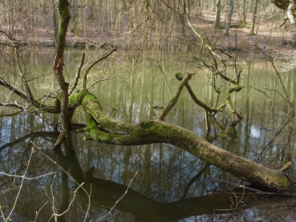 stadtlandliebe maerz 8