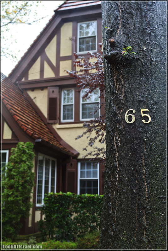 Америка 2.0 / Нью Йорк   Forest Hills (foto america  фото природа дождь и снег new york  20111019 usa ny forest hills 033 9112)