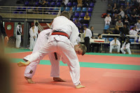 IMG_2547.jpg