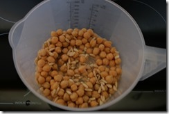 IMG_5519 IMG_5519
