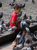 Jugando al palomar