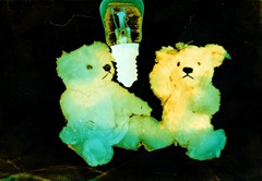 Split-Toned-Prints---Bears-2-K