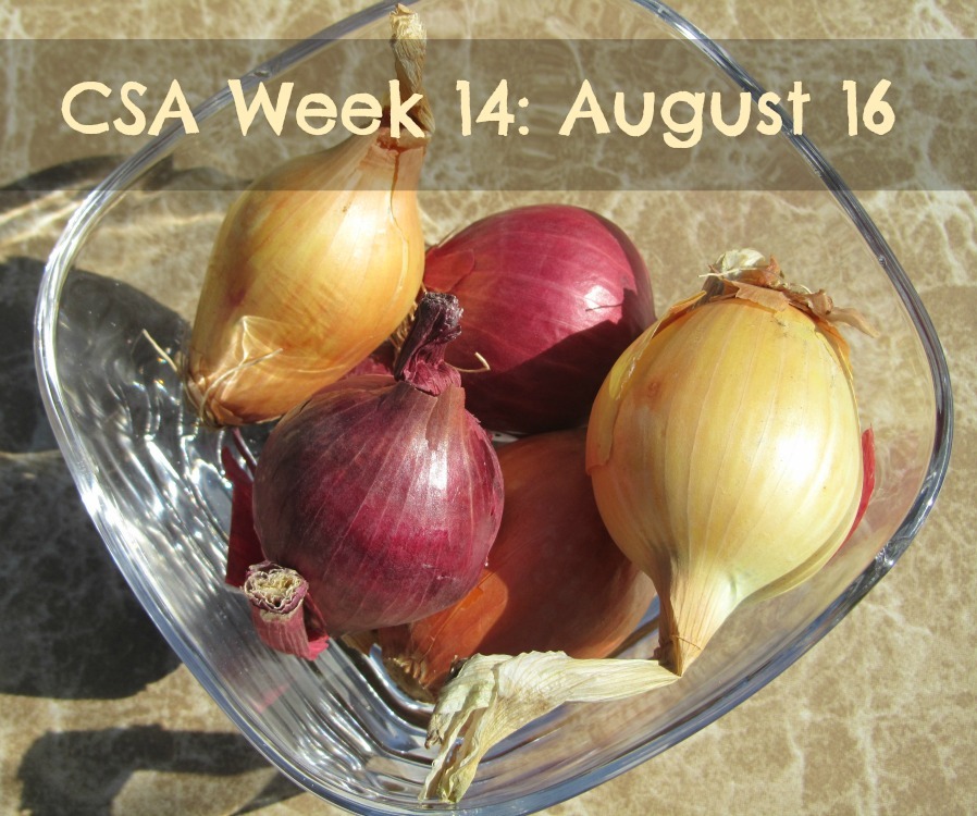 [CSA%2520Week%252014%255B4%255D.jpg]