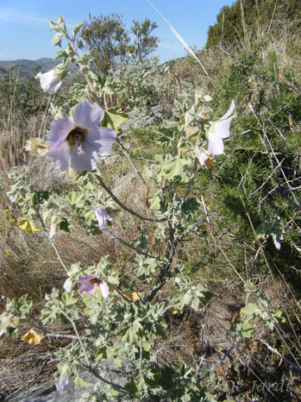 2012_03070024.jpg
