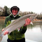 Dropping River Levels Jeff%252527s%252520Steelhead Dropping River Levels