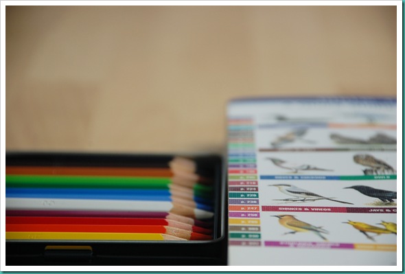 Pencils and birdbook