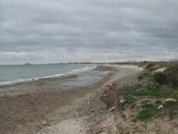 IMG_8506 IMG_8506
