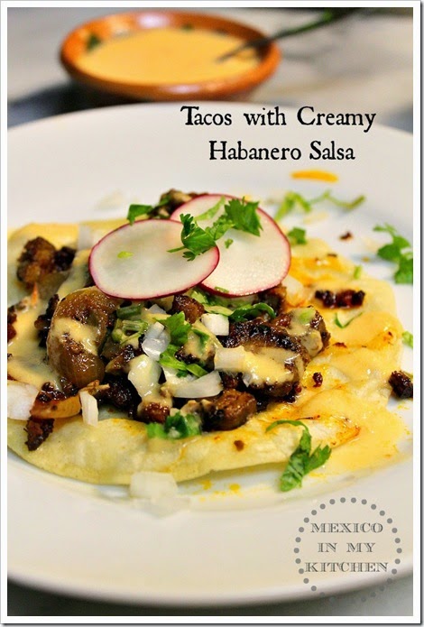 Creamy Habanero Sauce Creamy Habanero Sauce