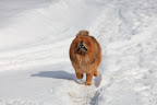 I also really love to run and snow makes me especially happy!