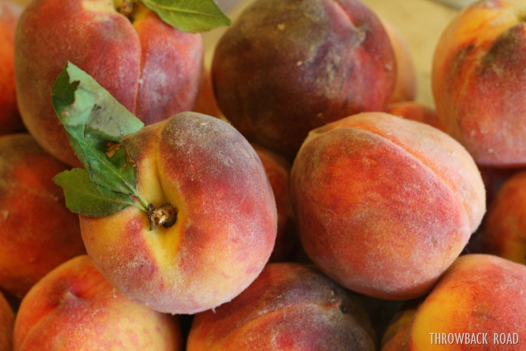 [beets%2520and%2520peach%2520jam%2520030%255B5%255D.jpg]