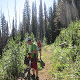 IMG_0334.JPG
