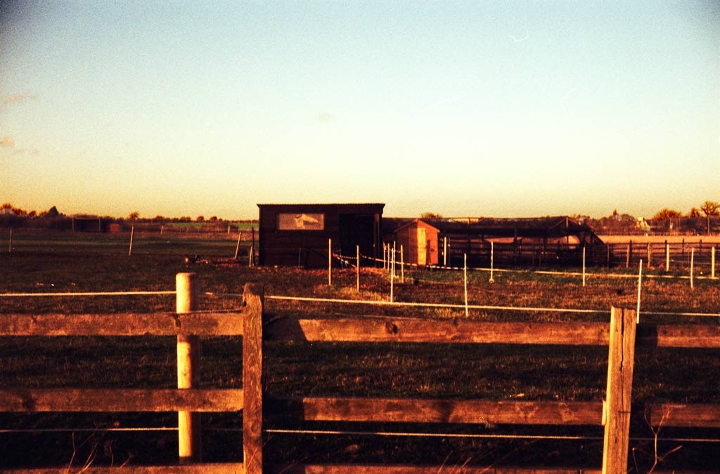 [Horse-Land-3---XPRO4.jpg]