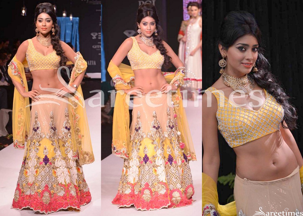 [Shriya_Archna_Kochhar_Lehenga%255B4%255D.jpg]