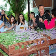 Ellisfield farm - lavendar.jpg Ellisfield farm - lavendar.jpg