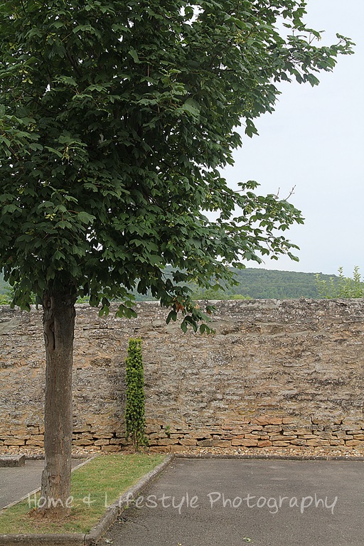 [IMG_4538a%255B3%255D.jpg]