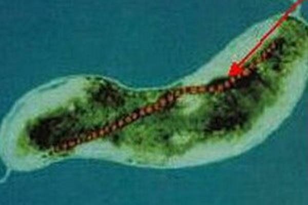 7- Magnetospirillum magneticum 7- Magnetospirillum magneticum