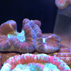 DSC_2092.jpg