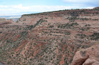 IMAGE_1000000221.JPG