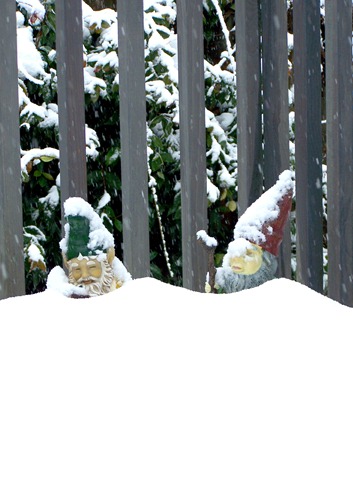 [1-17-2012%2520%252828%2529%2520edit%255B7%255D.jpg]