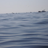 day3132 007.JPG