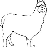 LLAMA2_BW_thumb.jpg