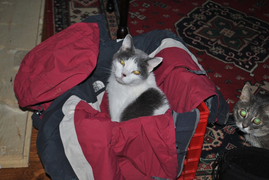 [DSC_0064%255B2%255D.jpg]