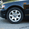 DSC_1461.JPG