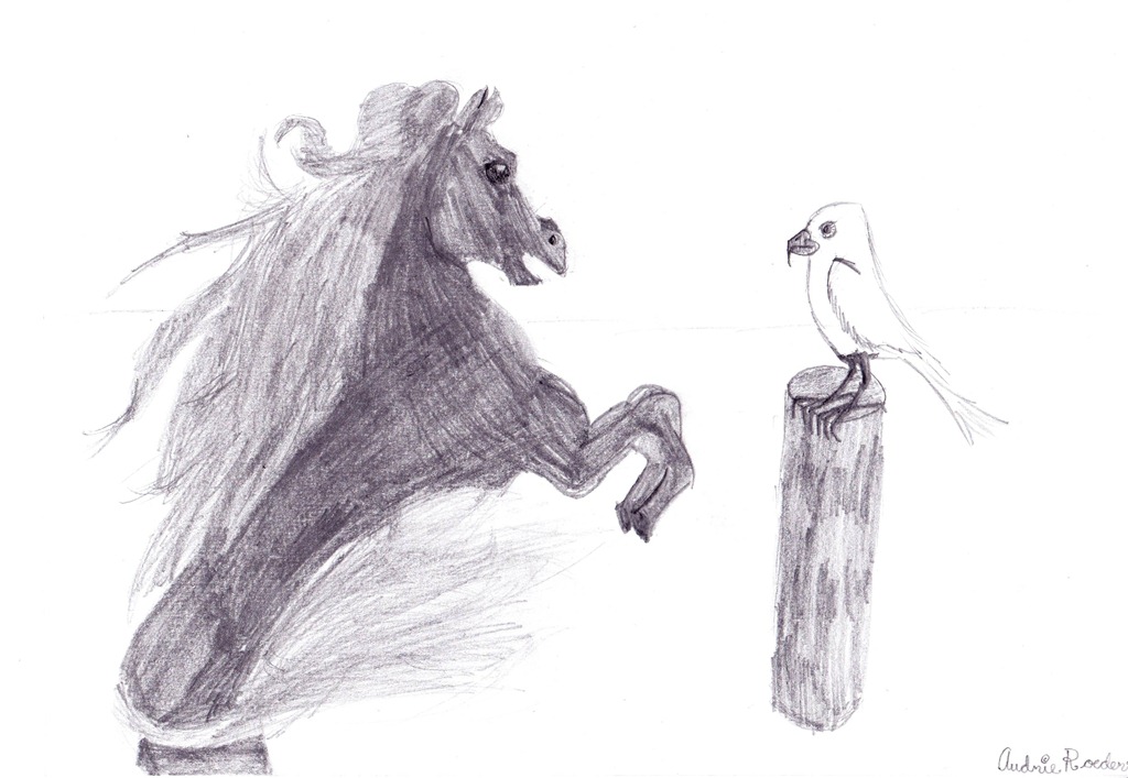 [horse-gull%255B4%255D.jpg]