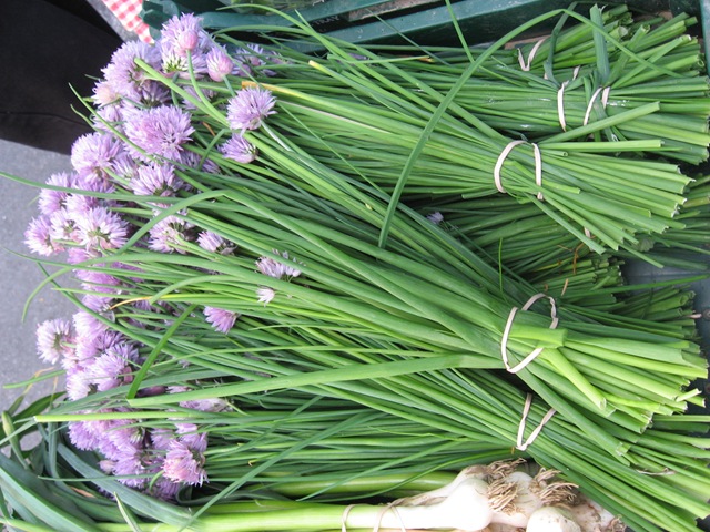 [chive%2520blossoms%255B4%255D.jpg]