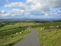 IMG_3202 IMG_3202