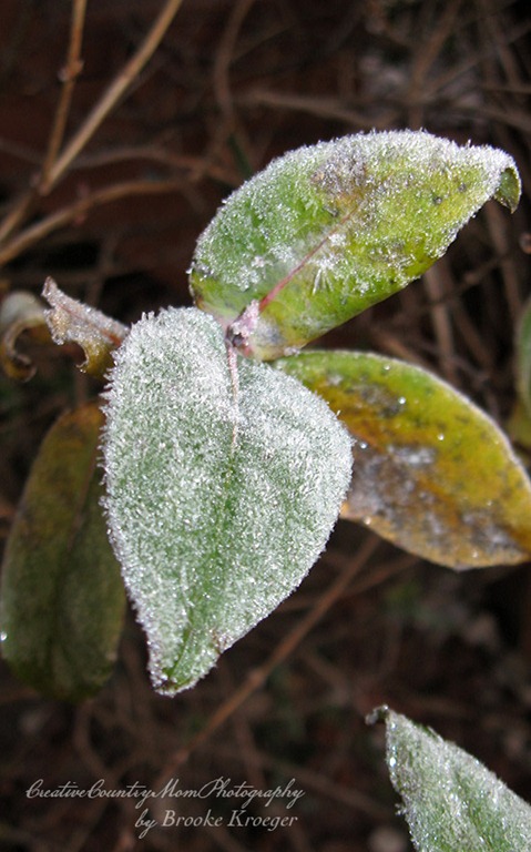 [IMG_22057.jpg]